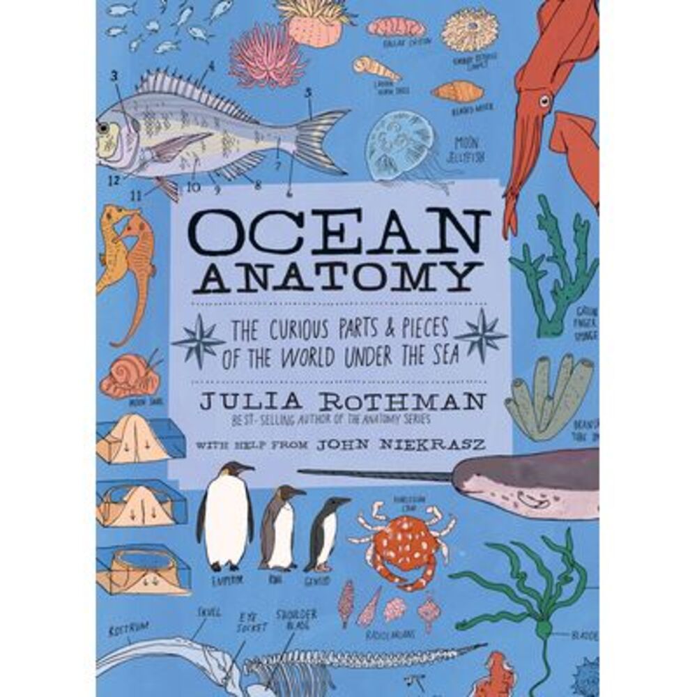 Ocean Anatomy: The Curious Parts & Pieces of the World Under the Sea -- Julia Ro